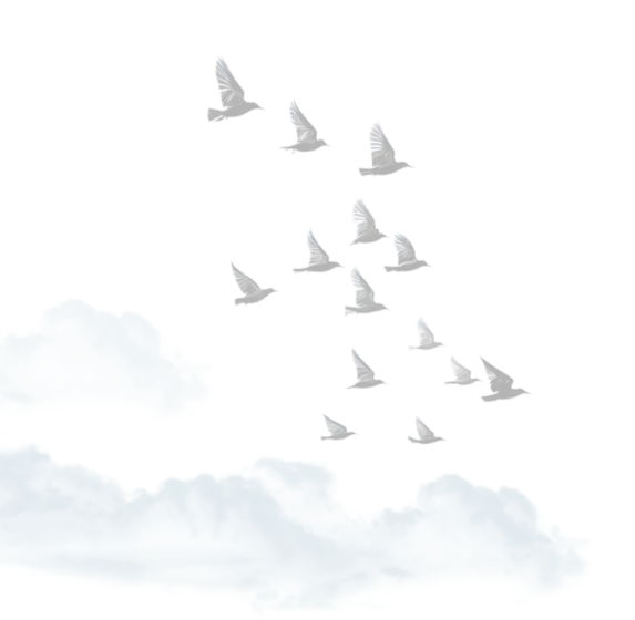 У що ми віримо